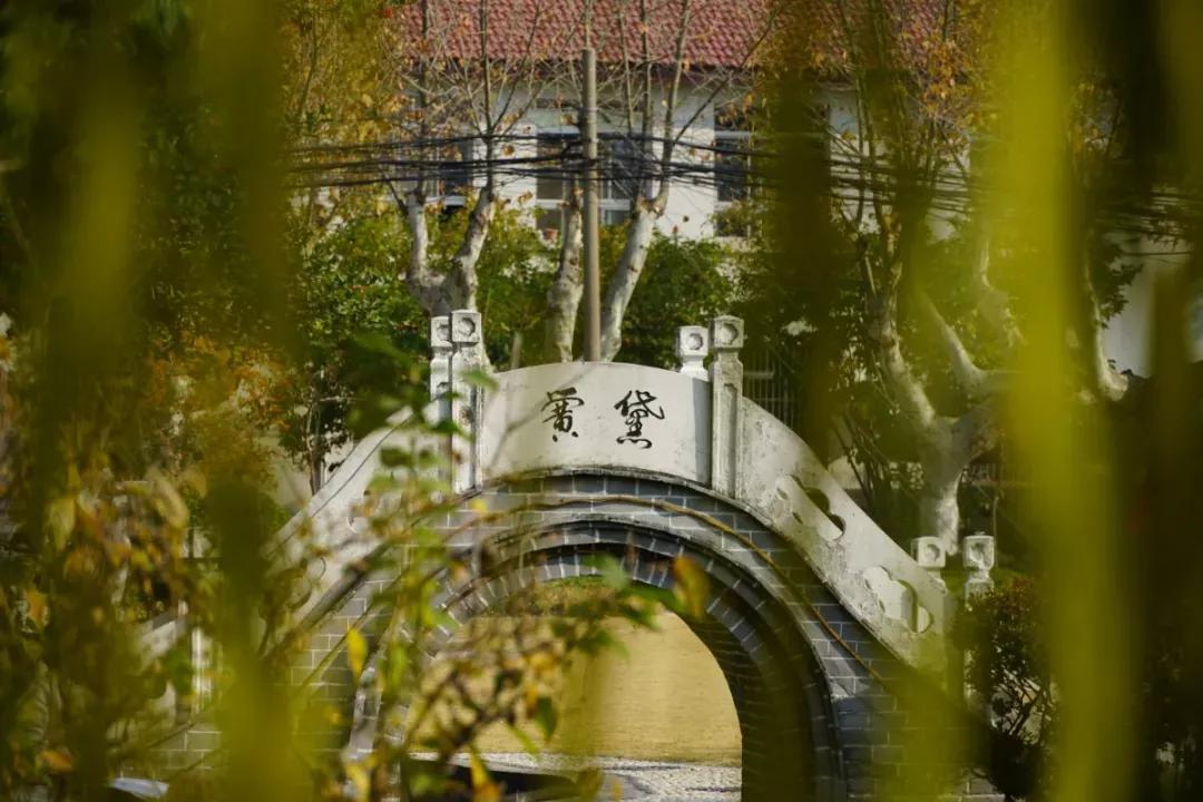 江苏省高校（九）扬州大学