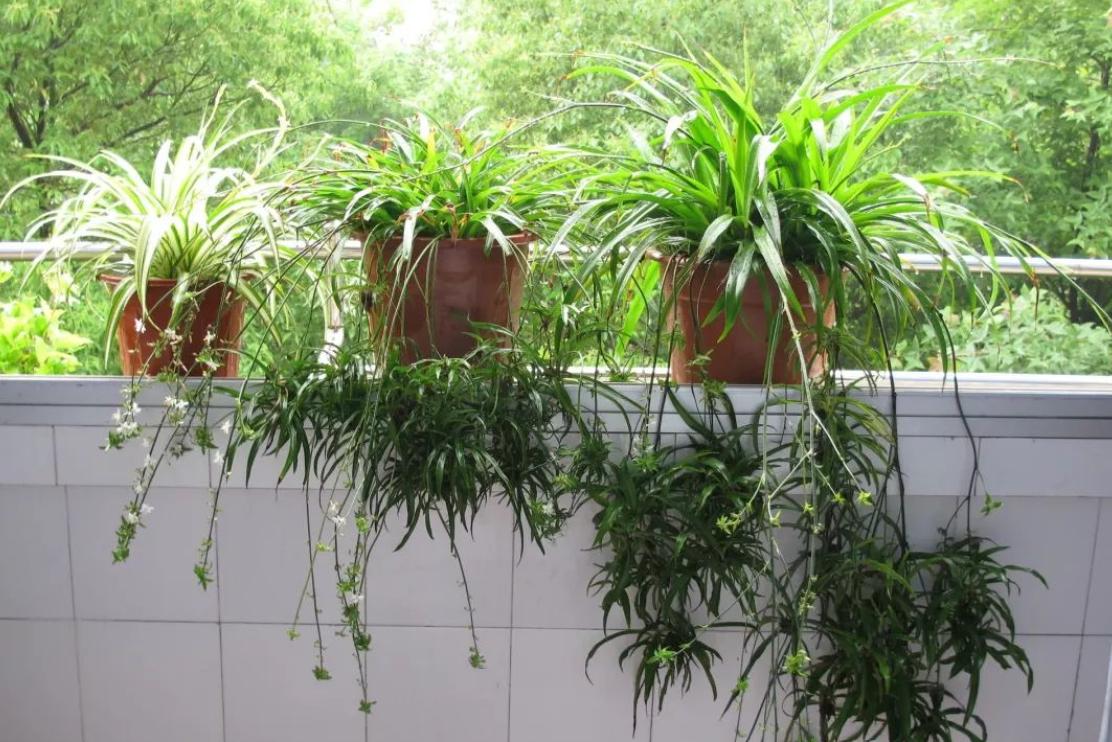 空气净化器除甲醛,空气净化器有用吗