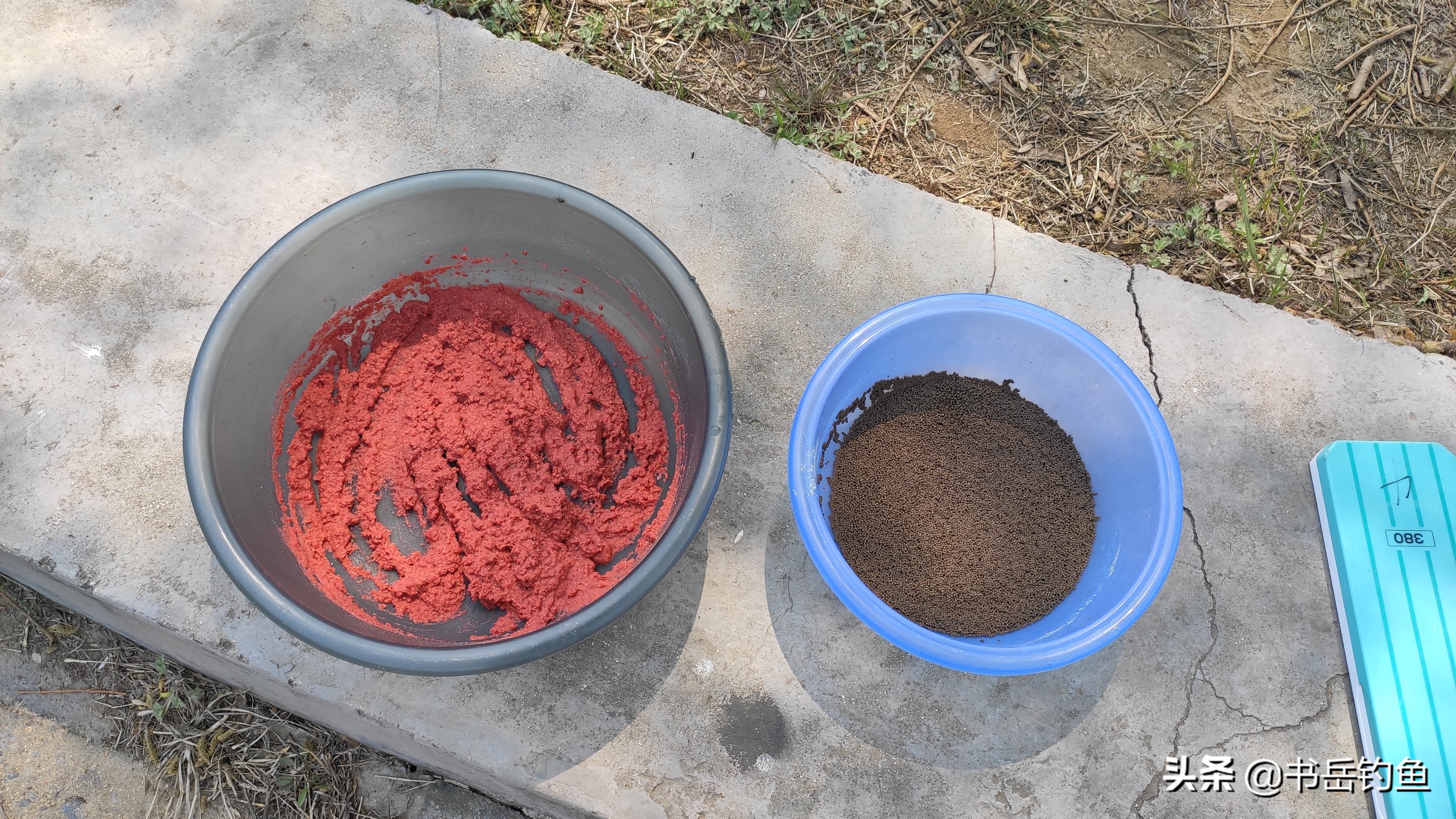 黑坑的鱼都怎么处理,黑坑鱼病防治