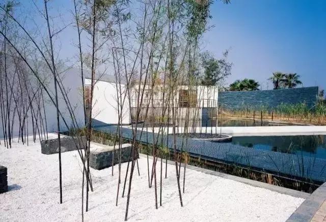 院子风景真美,中国人的院子