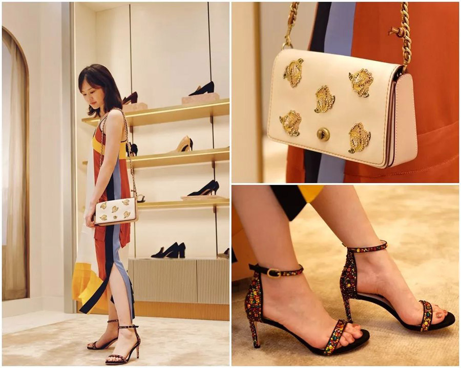 sw入门款,sw值得买么