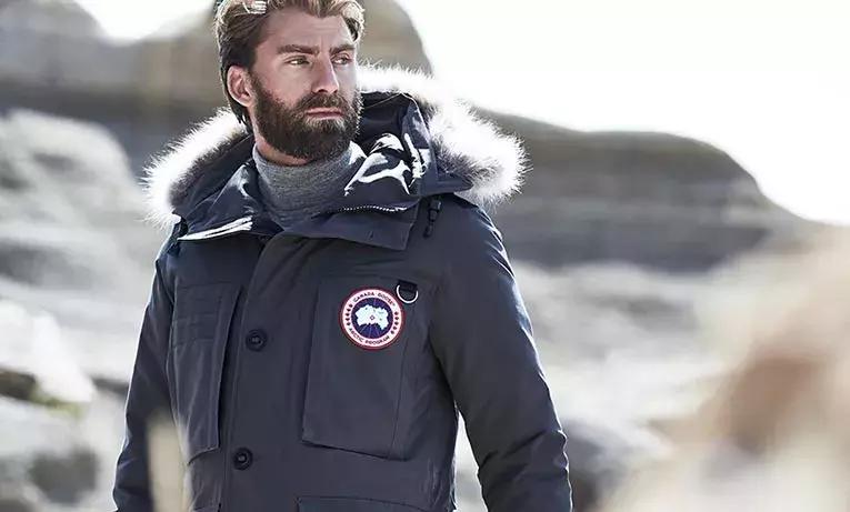 鹅和加拿大鹅打架,杀死加拿大鹅会报警吗