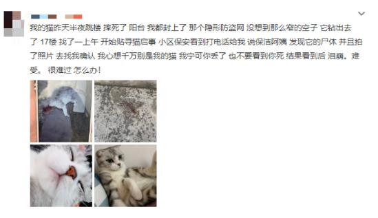 洗衣机里放什么可以去除猫毛,怎么用洗衣机洗掉衣服上的猫毛