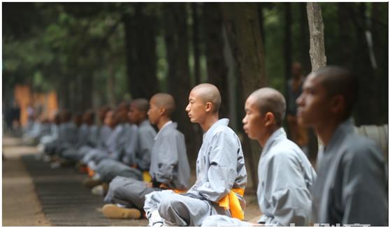 少林功夫发展,揭秘中国少林功夫