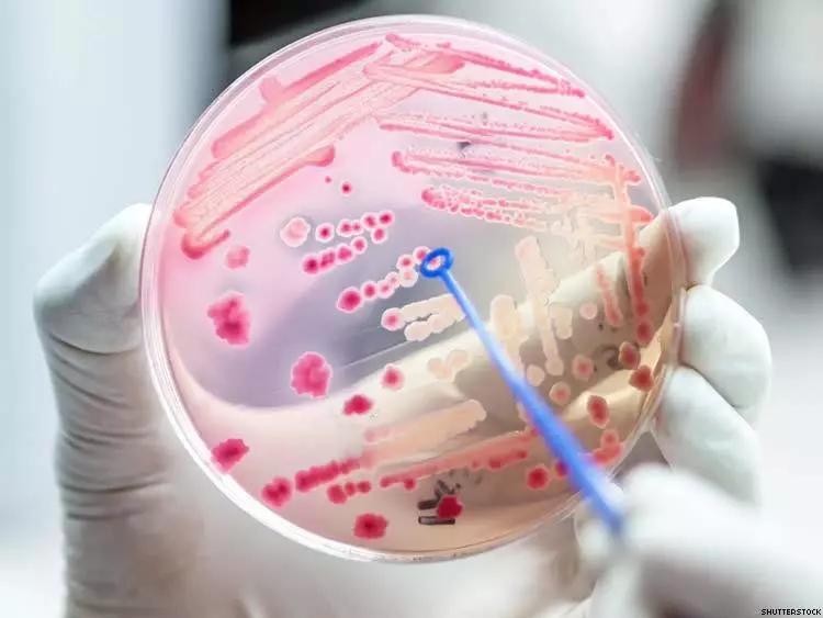 情人的眼泪后劲大,情人的眼泪前奏