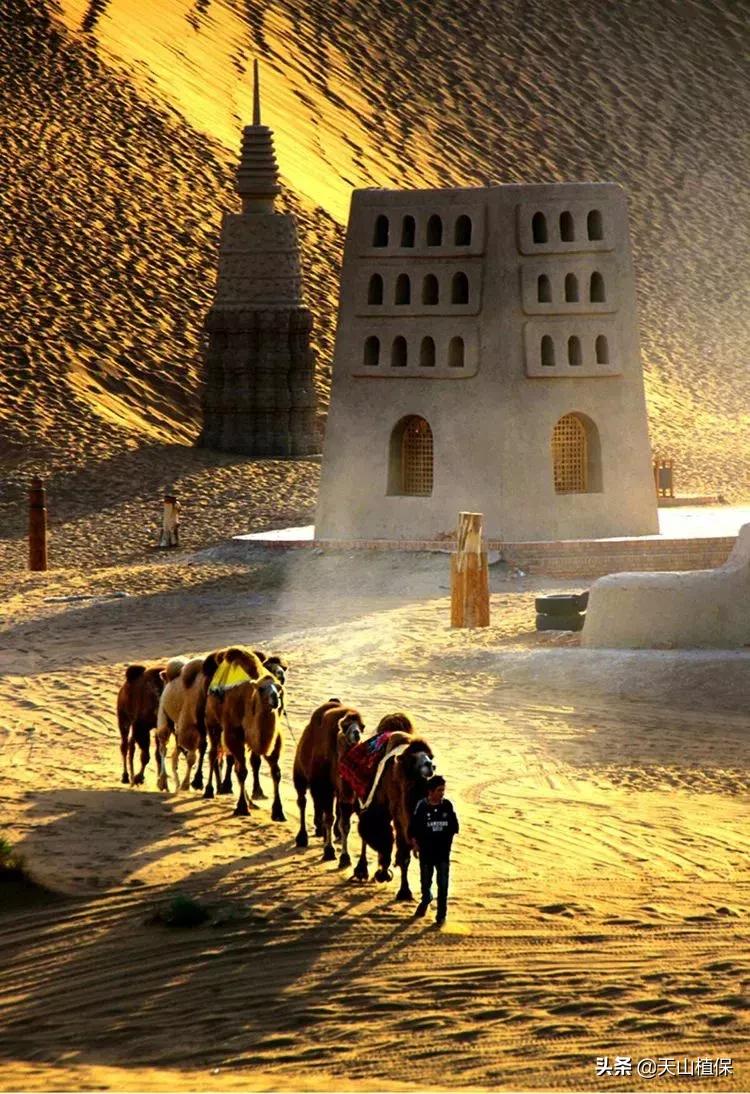 新疆鄯善的景色,新疆既美丽又神秘的地方