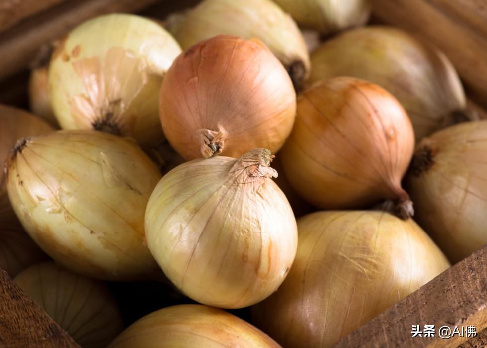 十种不能给狗吃的食物,狗的克星食物