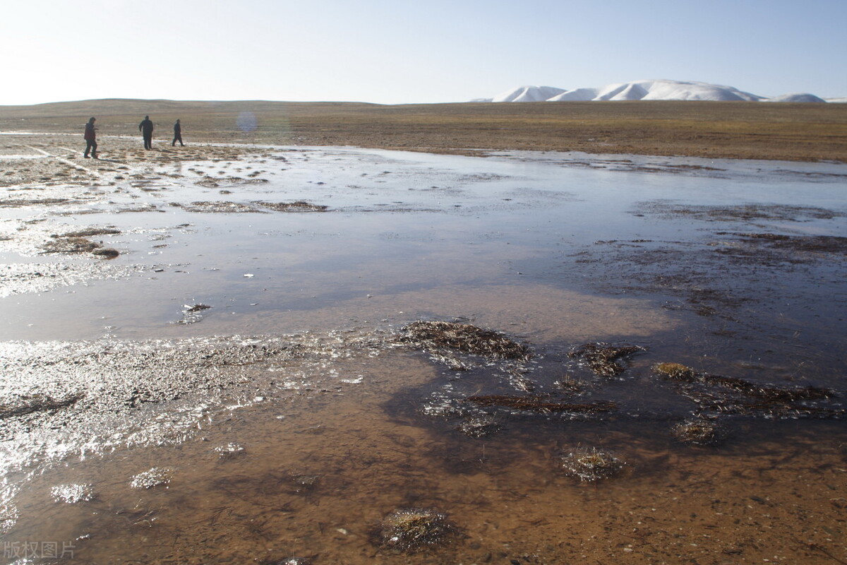 西藏无人区为什么称生命禁区,藏北无人区禁区