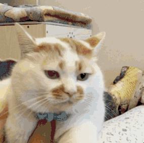 惊艳不已的小众护肤品推荐,护肤品是要买大牌好还是小众好