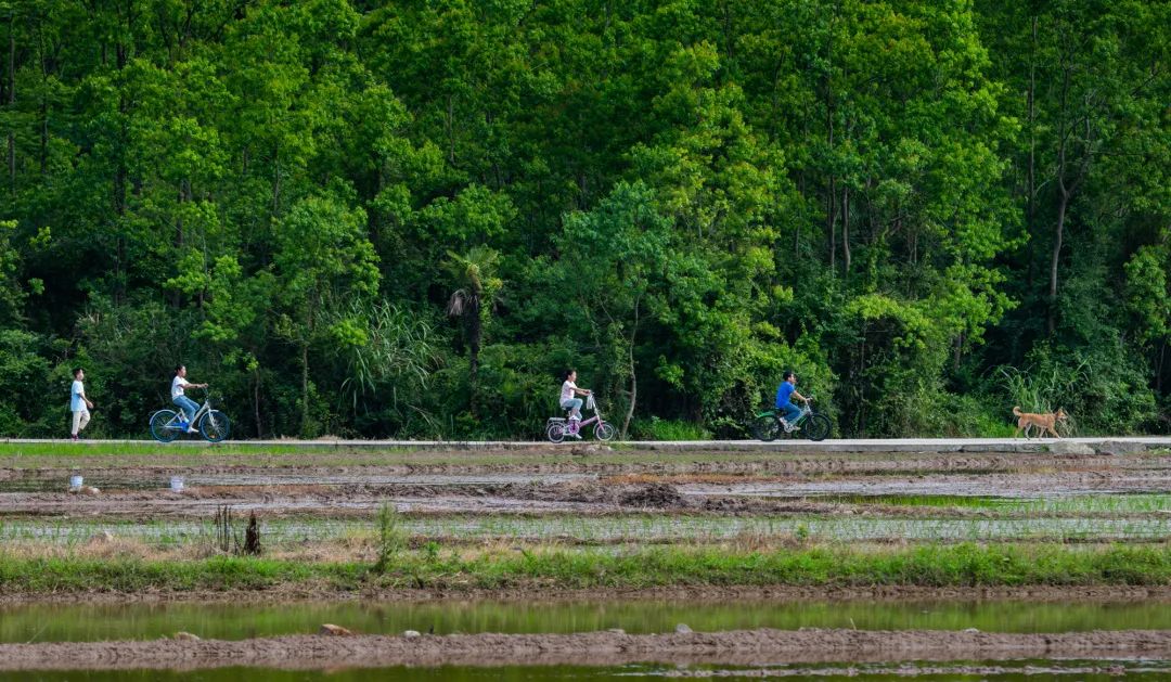 中国十大温泉旅游胜地,江南最美景区
