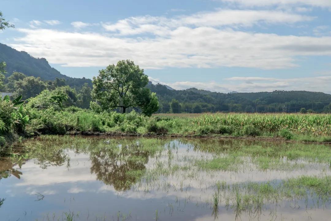 不能错过的游览胜地,不能错过的自驾游