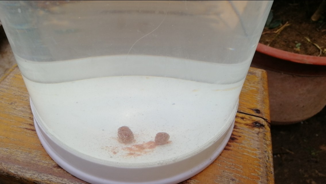 浮漂调好了水深下不去,浮漂不加钩调到五目钓几目