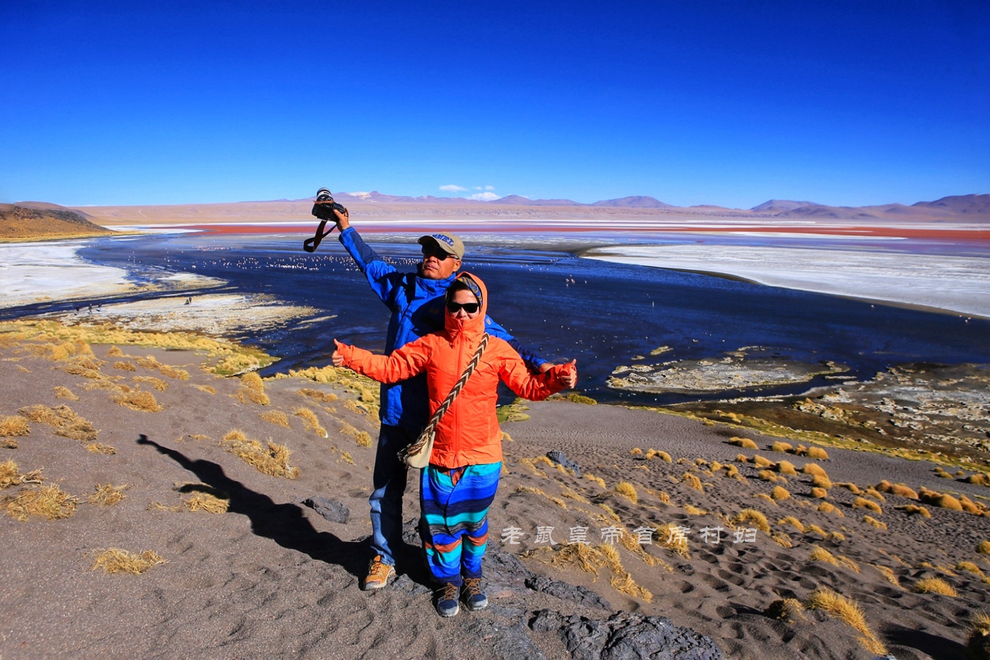 玻利维亚只看天空之镜？七彩湖火烈鸟4层楼高的仙人掌更精彩