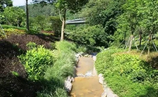 深圳新添大型高颜值公园,深圳最近新开放的公园