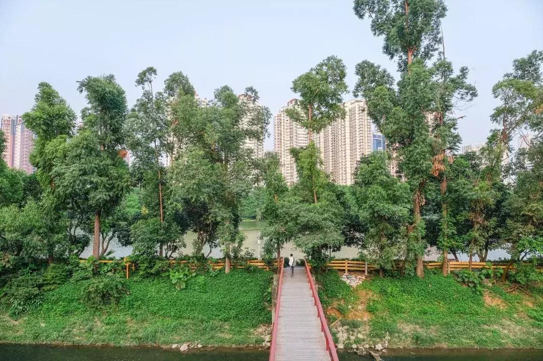 笋岗,不说再见!