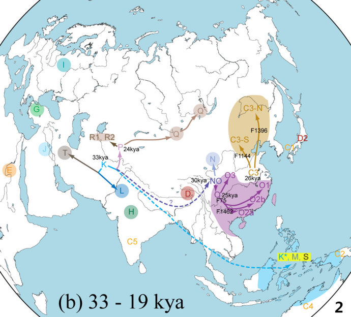dna可以查出有哪个民族的基因吗,从dna看蒙古族和汉族同宗同源吗
