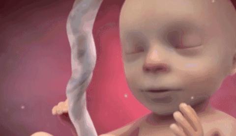 胎儿怎么在娘胎里排泄,胎儿在娘胎里能看见什么