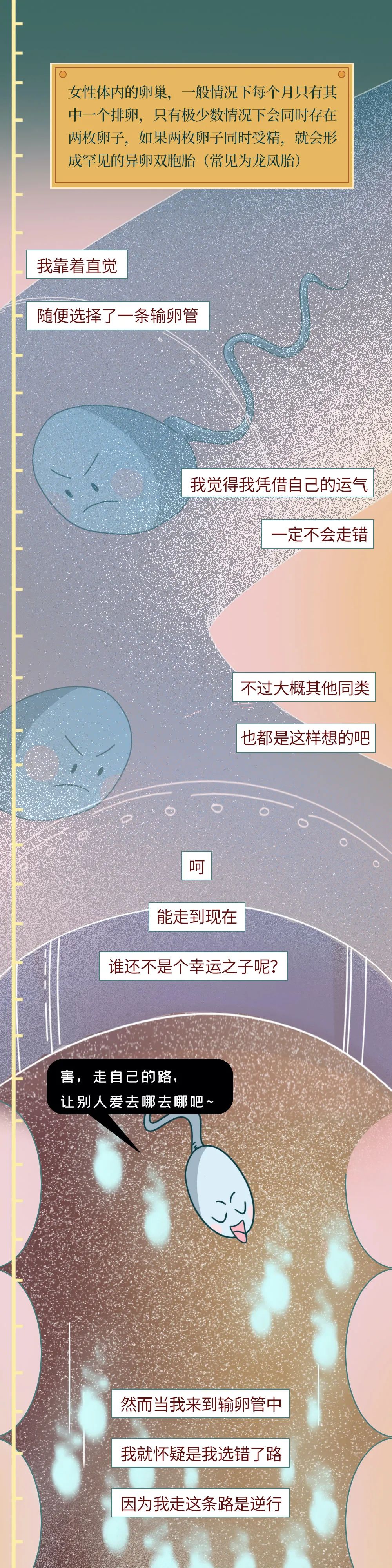科普知识精子液化后的状态,男性精子在体内存活时间