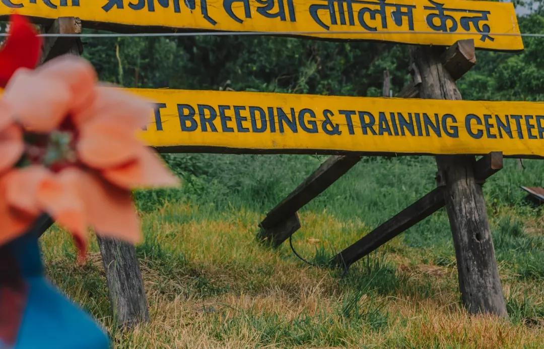 这个微笑国度，见人就夸漂亮，300元就能在天空滑翔