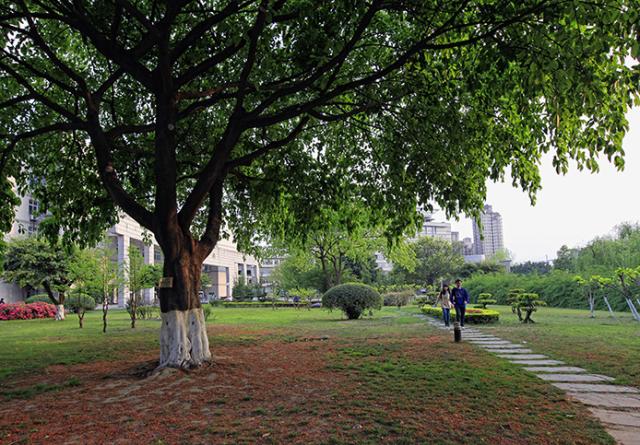 西南石油大学毕业生就业,西南石油本科生就业