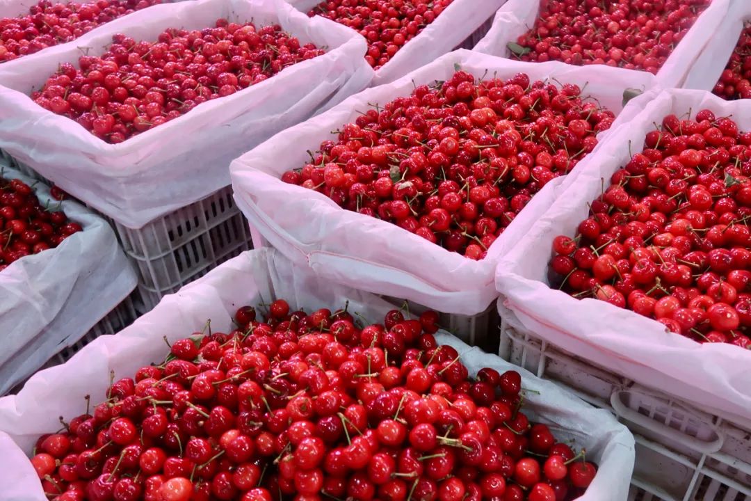 西安凌晨才营业的批发市场,西安哪里批发市场最便宜