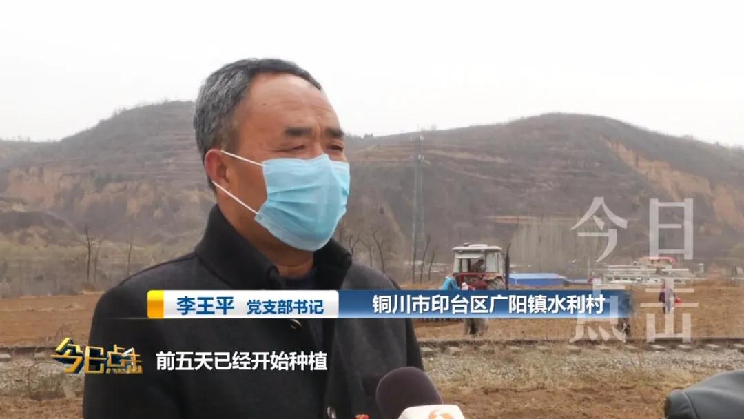 铜川印台脱贫攻坚,铜川印台区脱贫户