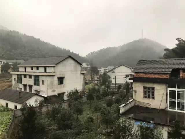 我的家乡被遗忘,我的家乡曾经也很美丽