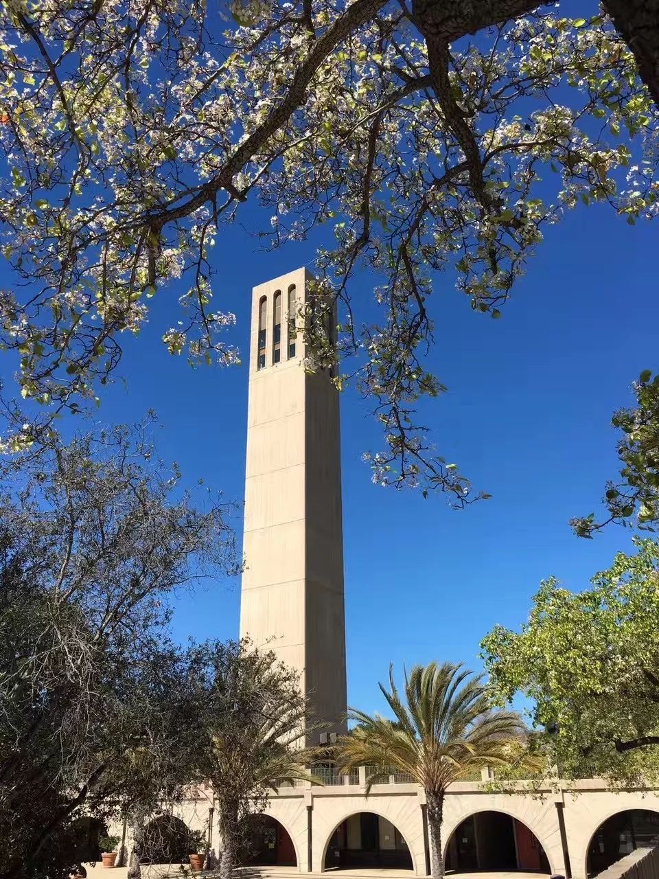 加州旅游攻略视频大全,加州旅游攻略