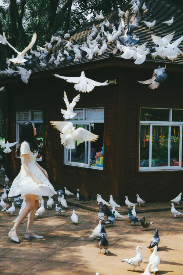 成都小众打卡地点推荐,上海小众免费拍照地点推荐