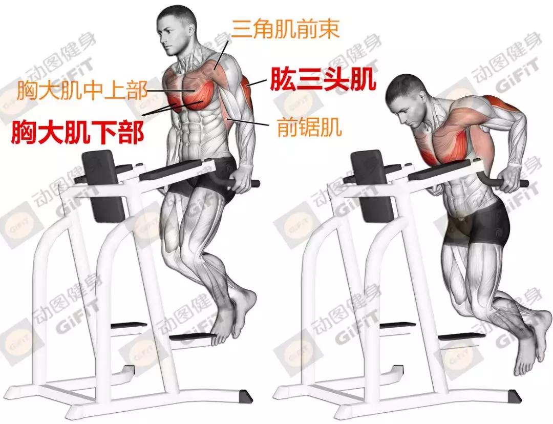 女生健身房器械训练计划一周,初中生健身房器械训练计划