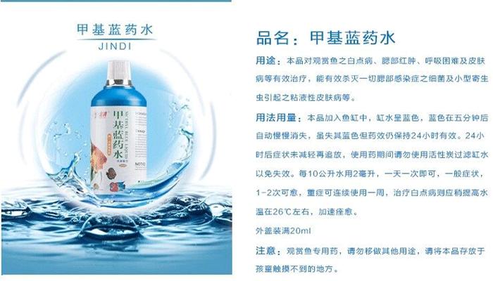 鱼儿生病需要隔离治疗吗,鱼儿用什么预防生病