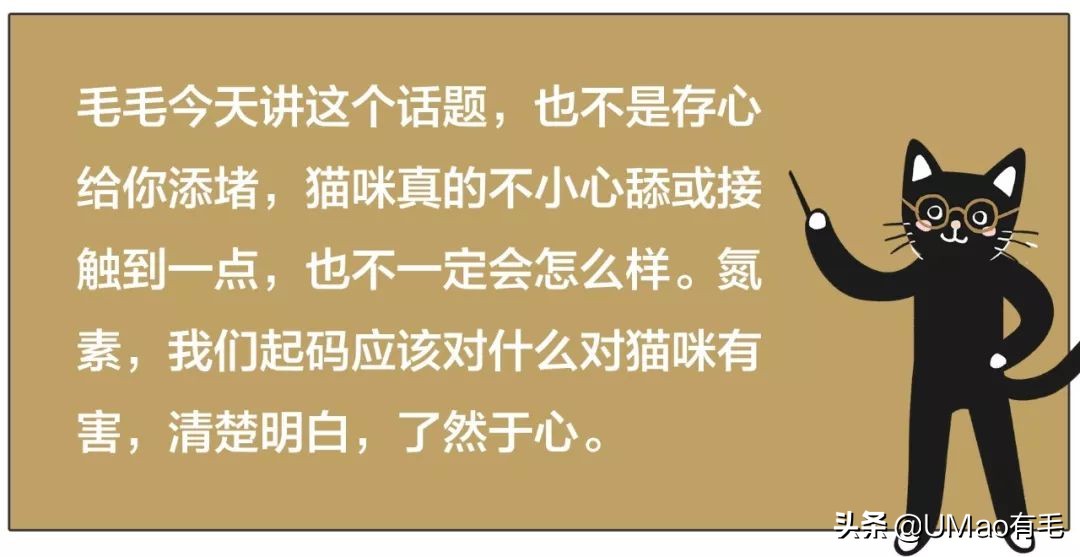 夏季会害了猫的7个行为,夏天对猫咪排泄有影响吗