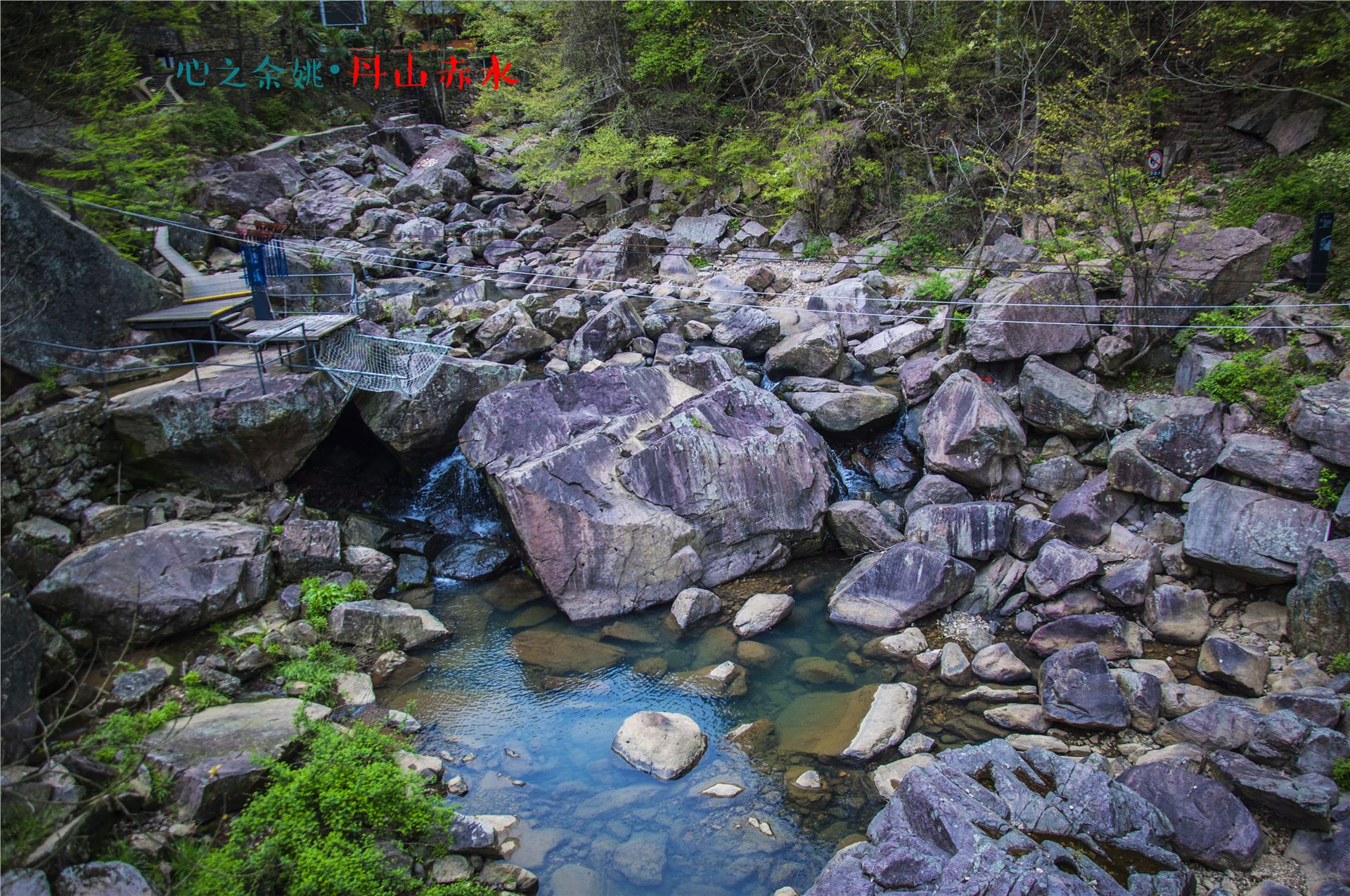 丹山赤水的老柿林景区,丹山赤水柿林古村