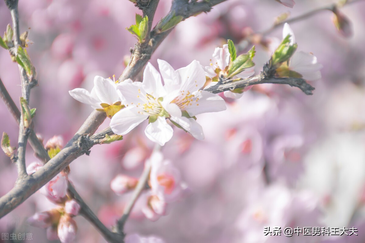 肾阴亏虚湿热内蕴做什么运动,肾阴虚下焦湿热怎么治