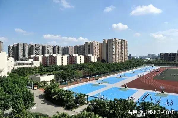 成都小升初选校和选班都很重要、成都哪些初*特中**色班值得关注？