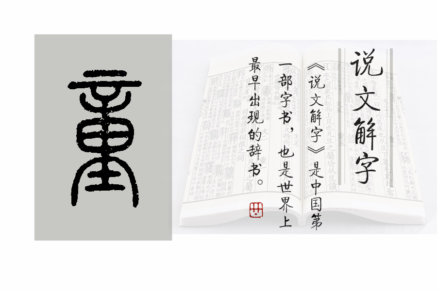 说文解字1-60集完整版免费,说文解字51课视频