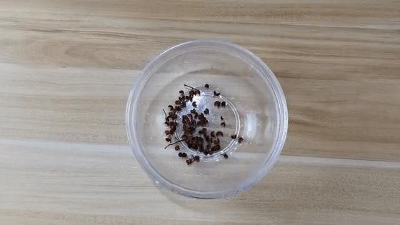 床底撒花椒是什么原因,床底放花椒有什么用