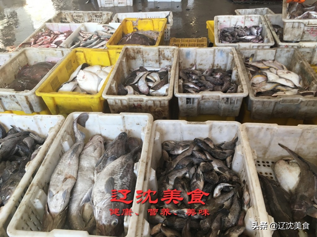 滨海海鲜批发市场营业时间,辽宁海边码头批发海鲜市场