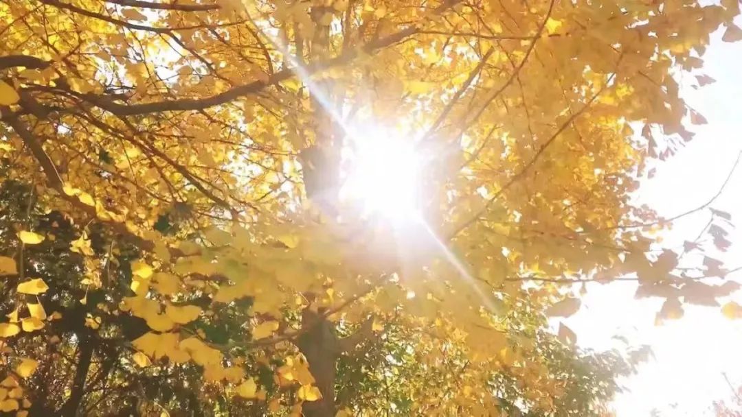 忘了ta吧原版视频,忘了ta吧