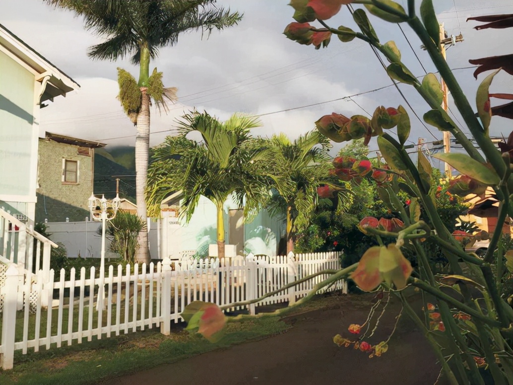 夏威夷的冬天01,夏威夷的冬天的橱窗