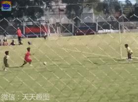 女人遇到狼怎么办,女孩遇见色狼如何自救