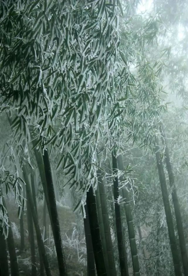 一直被念错的字,一直读错的地名