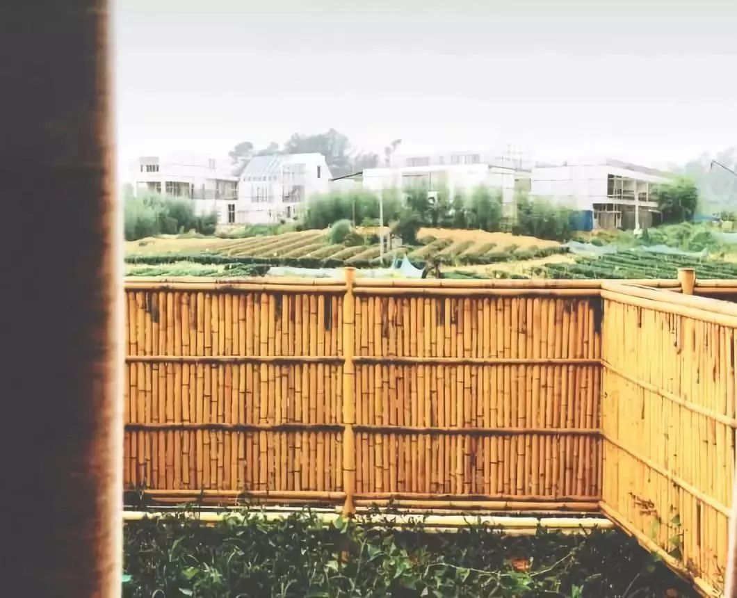 成都出发，一路向西的“旅行列车”年底开通！沿途好多……