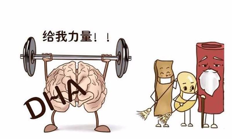 dha孕妇吃对宝宝有什么好处和坏处,我们宝宝平时缺乏dha都有哪些症状