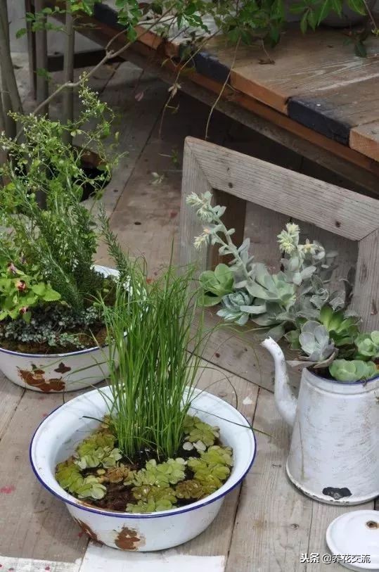 庭院水池最简单最省钱制作,庭院水池小摆设