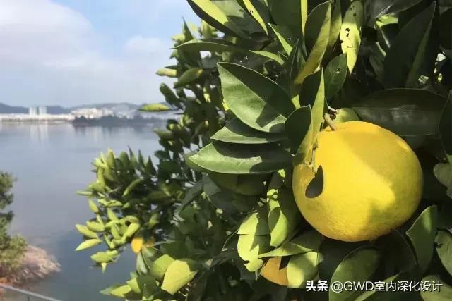 为了钓鱼在水库修一座别墅,最惊艳的民宿设计图