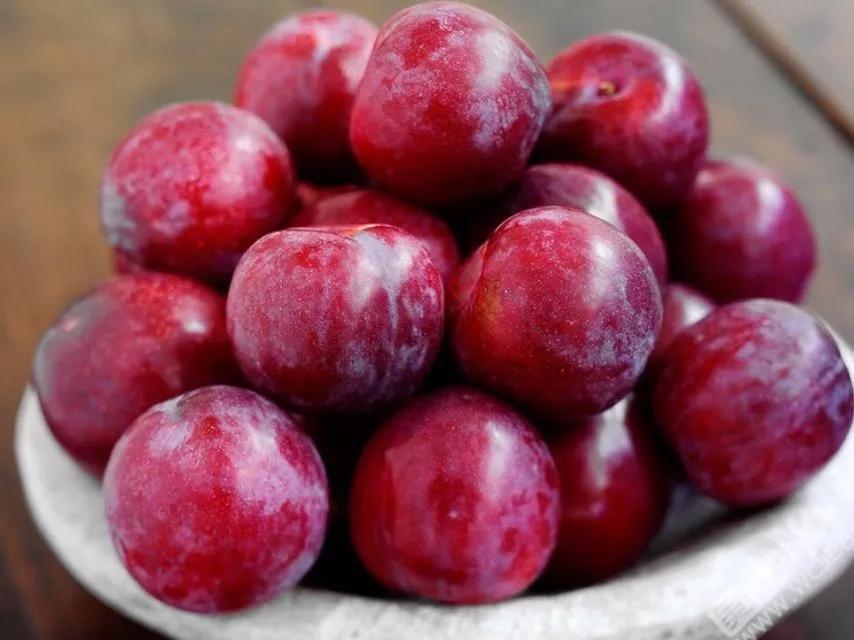 新评书：顽童学道记26,少年刘神仙是如何学道的？脱胎换骨叁