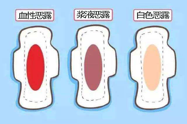 产后恶露不断，饮食如何来帮助？