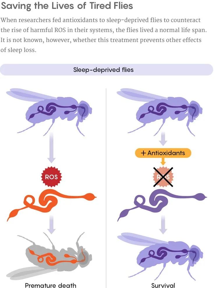 了解人体的奥秘善待自己的身体,了解一个大自然的科学现象