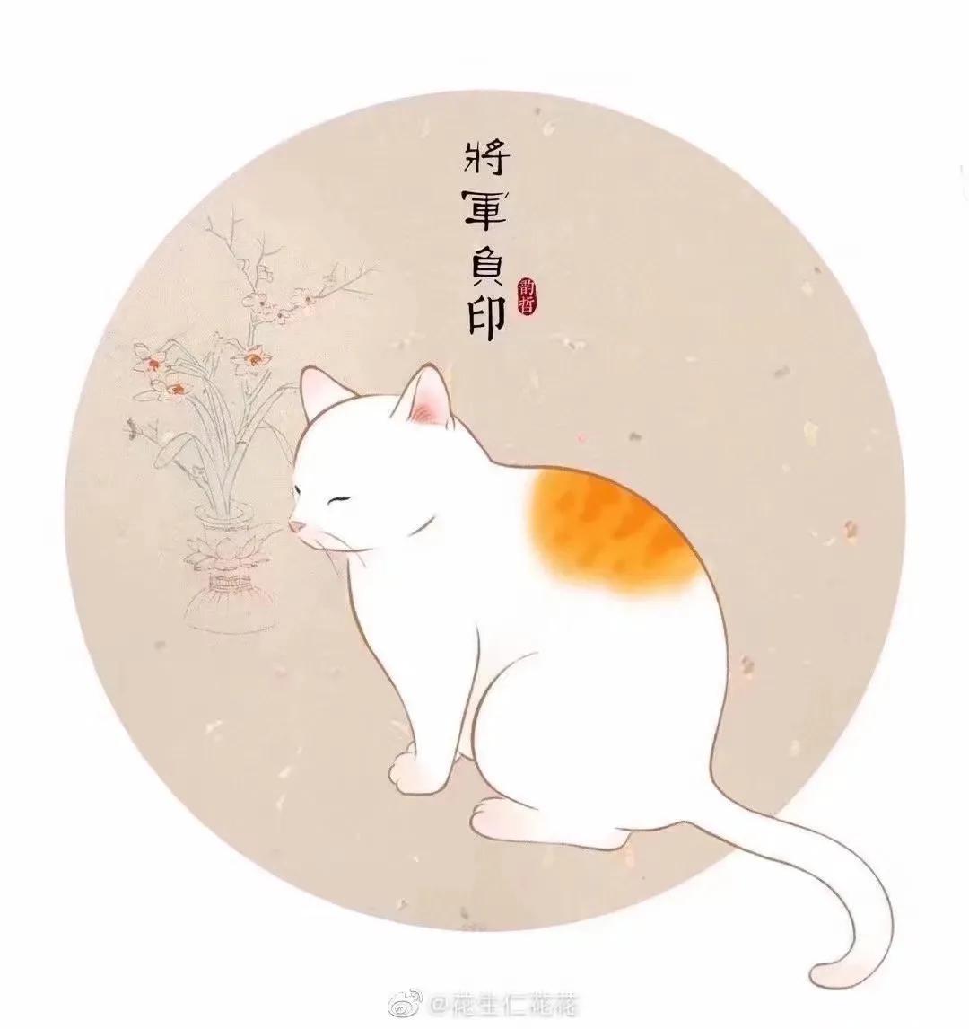 猫在古代是如何看待猫的,古人按猫的颜色分类